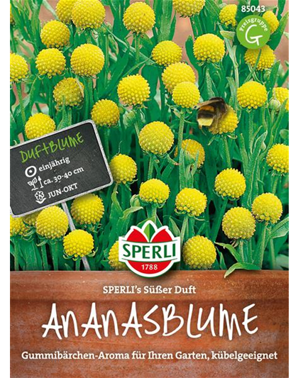 Ananasblumen Süßer Duft