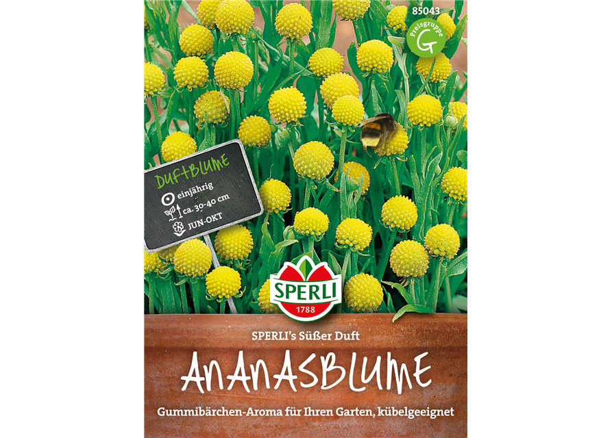 Ananasblumen Süßer Duft