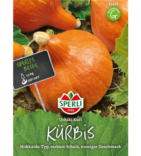 Kürbis Uchiki Kuri