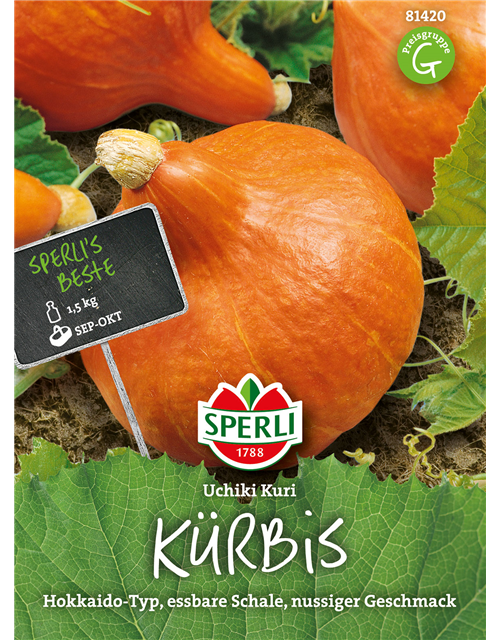 Kürbis Uchiki Kuri