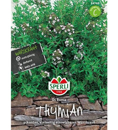 Thymian Di Roma