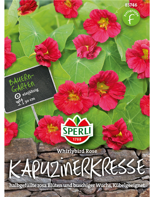 Kapuzinerkresse Whirlybird Rose 