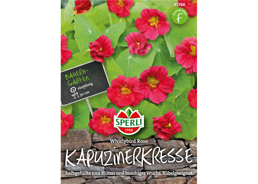 Kapuzinerkresse Whirlybird Rose 