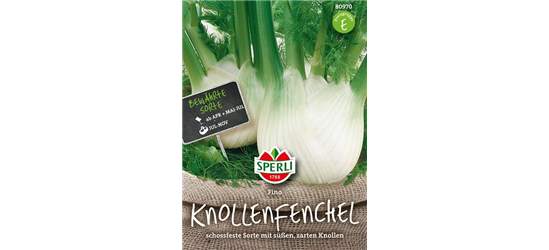 Knollenfenchel Fino