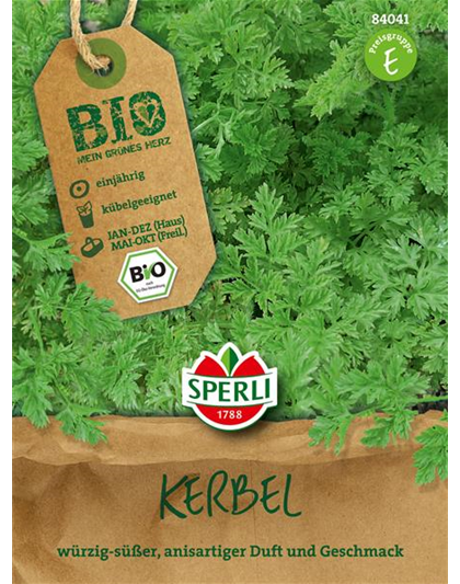 BIO-Kräuter Kerbel