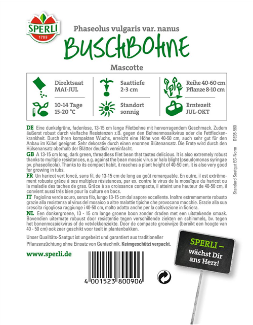 Buschbohne Mascotte