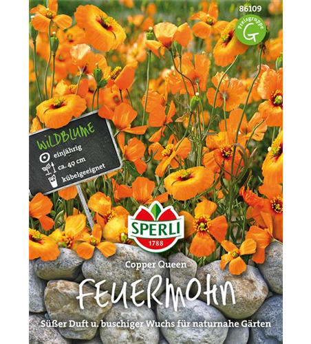 Feuermohn Copper Queen