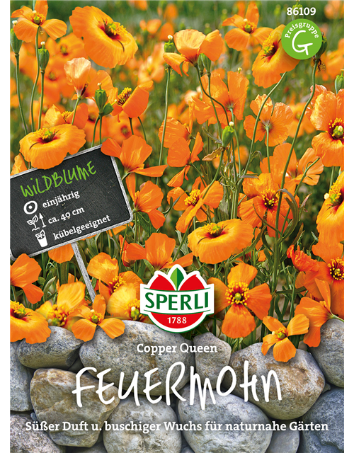 Feuermohn Copper Queen