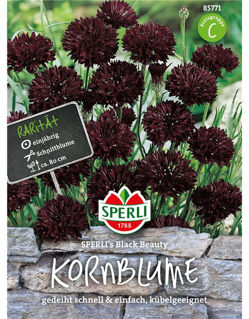 Kornblumen Black Beauty