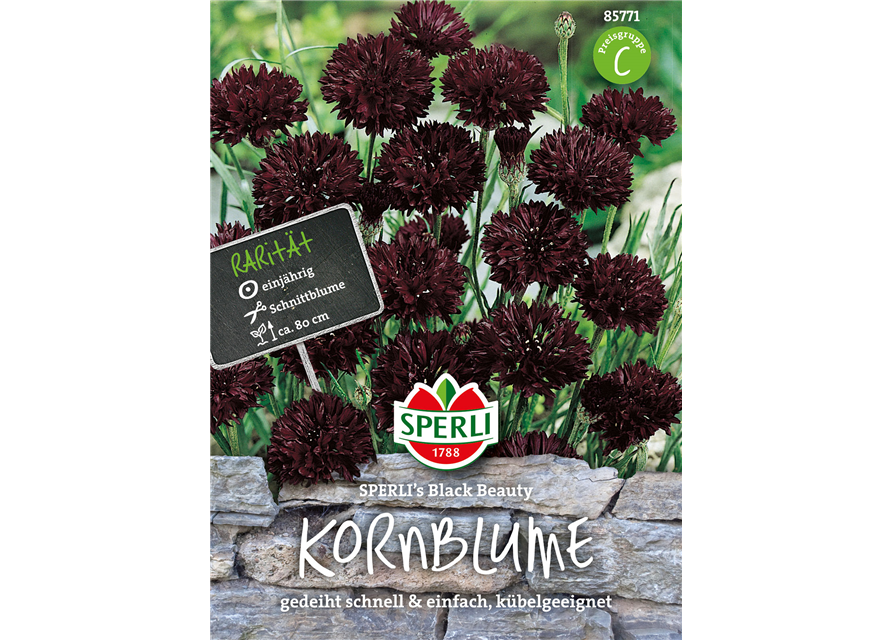 Kornblumen Black Beauty