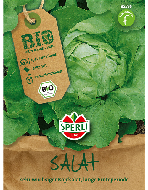 BIO-Kopfsalat