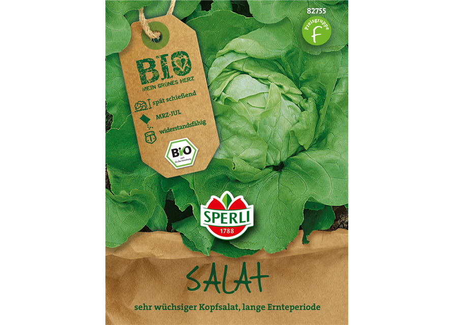 BIO-Kopfsalat