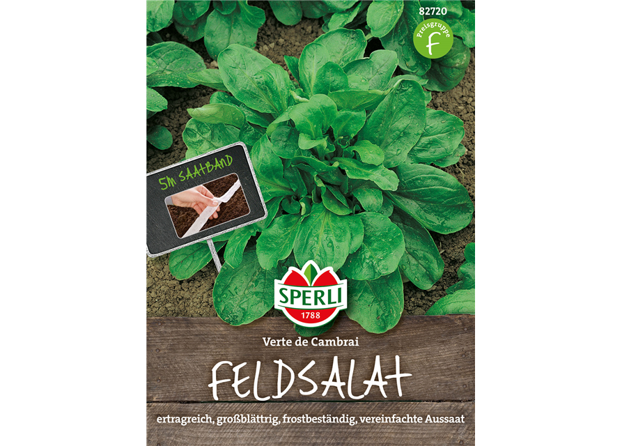 Feldsalat Verte de Cambrai