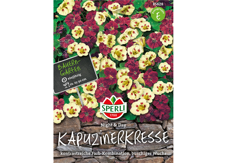 Kapuzinerkresse Night & Day