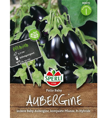 Aubergine Patio Baby