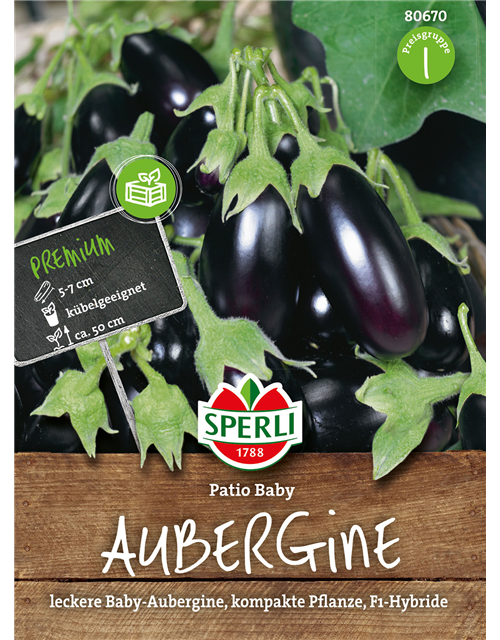 Aubergine Patio Baby