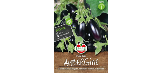 Aubergine Patio Baby