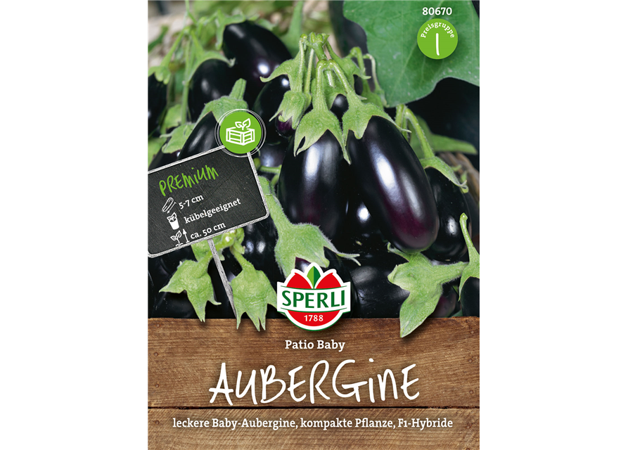 Aubergine Patio Baby