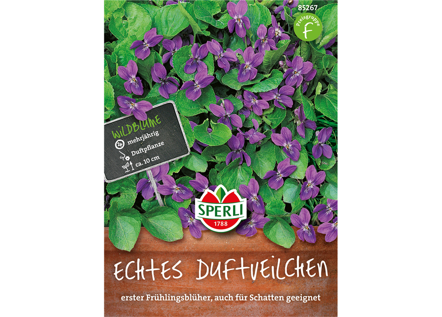 Echtes Duftveilchen