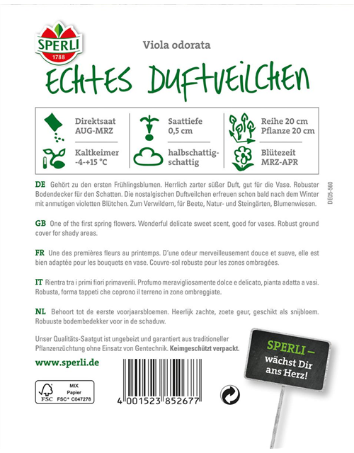 Echtes Duftveilchen