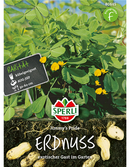 Erdnuss Arachis