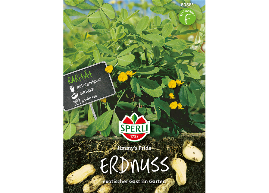 Erdnuss Arachis