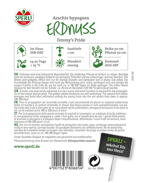 Erdnuss Arachis