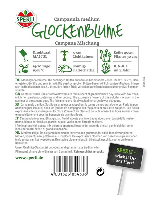 Glockenblume 