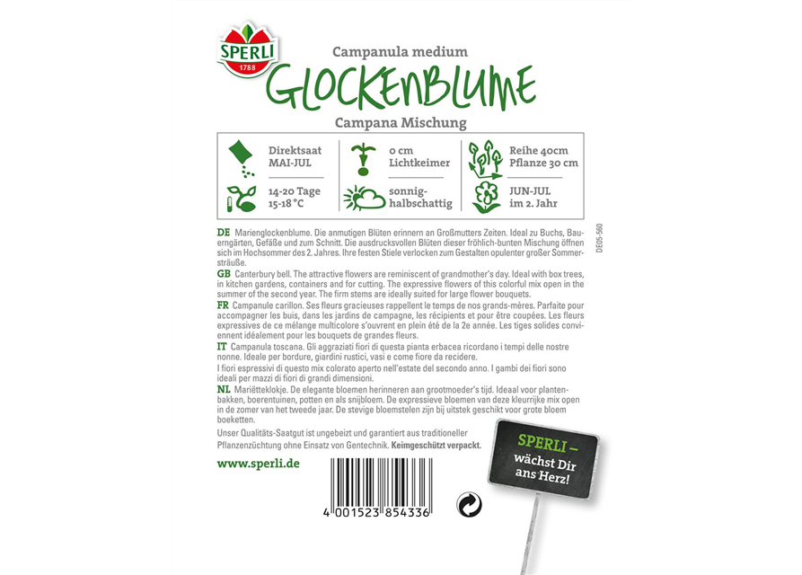 Glockenblume 