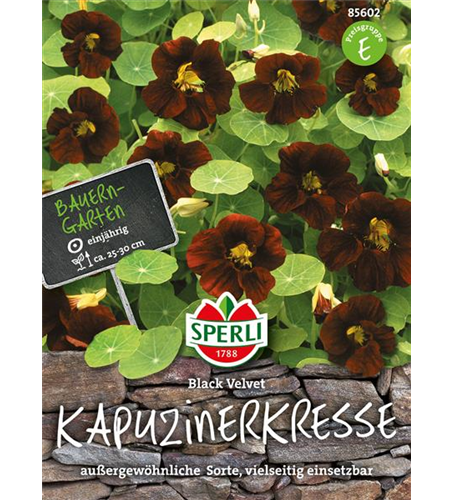 Kapuzinerkresse Black Velvet