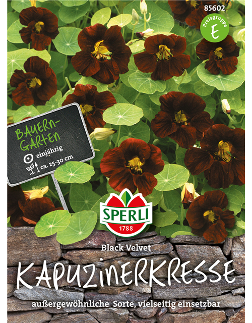 Kapuzinerkresse Black Velvet