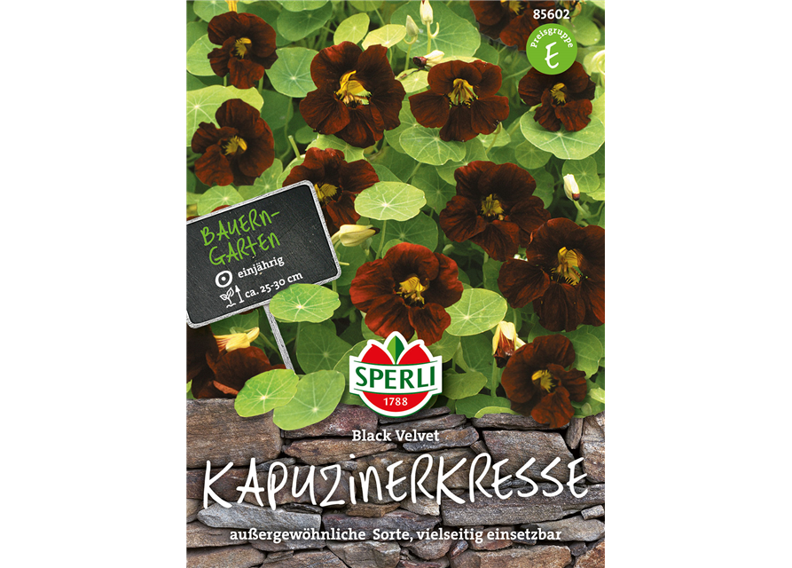 Kapuzinerkresse Black Velvet