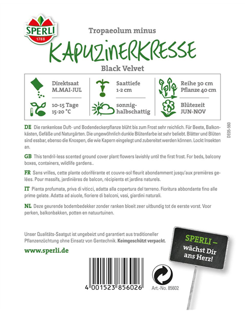 Kapuzinerkresse Black Velvet