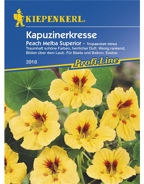 Kapuzinerkresse Peach Melba