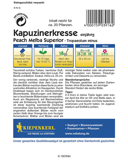 Kapuzinerkresse Peach Melba