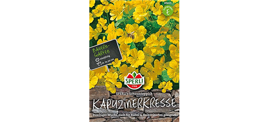 Kapuzinerkresse Sonnenteppich