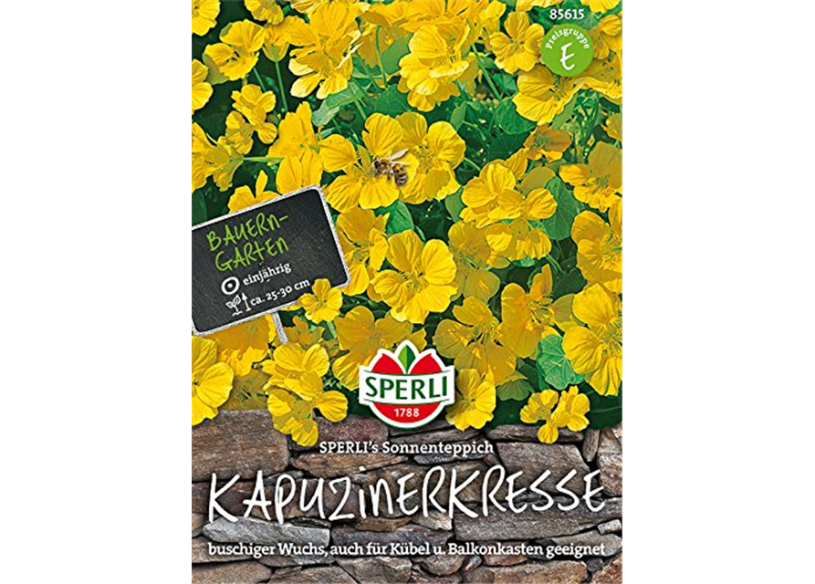 Kapuzinerkresse Sonnenteppich