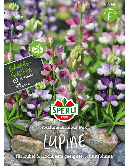 Lupine Avalune Bicoour Mischung