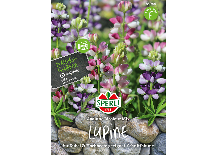 Lupine Avalune Bicoour Mischung