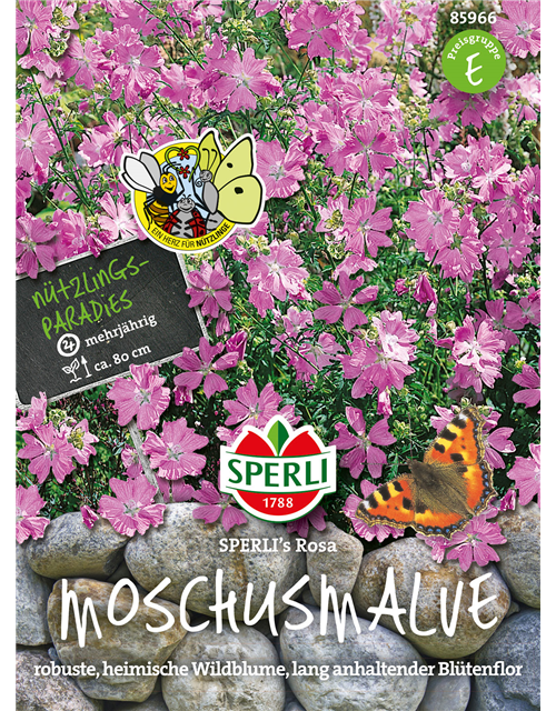 Moschusmalve Rosa