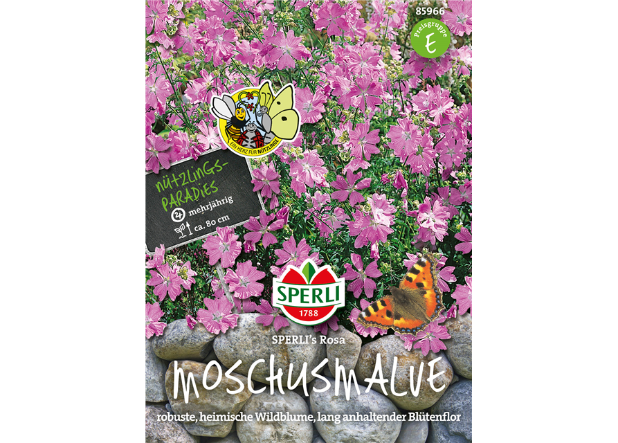 Moschusmalve Rosa