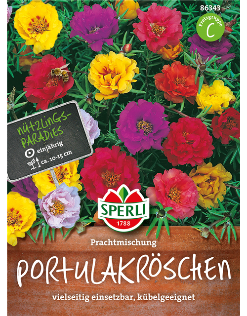 Portulakröschen Prachtmischung 