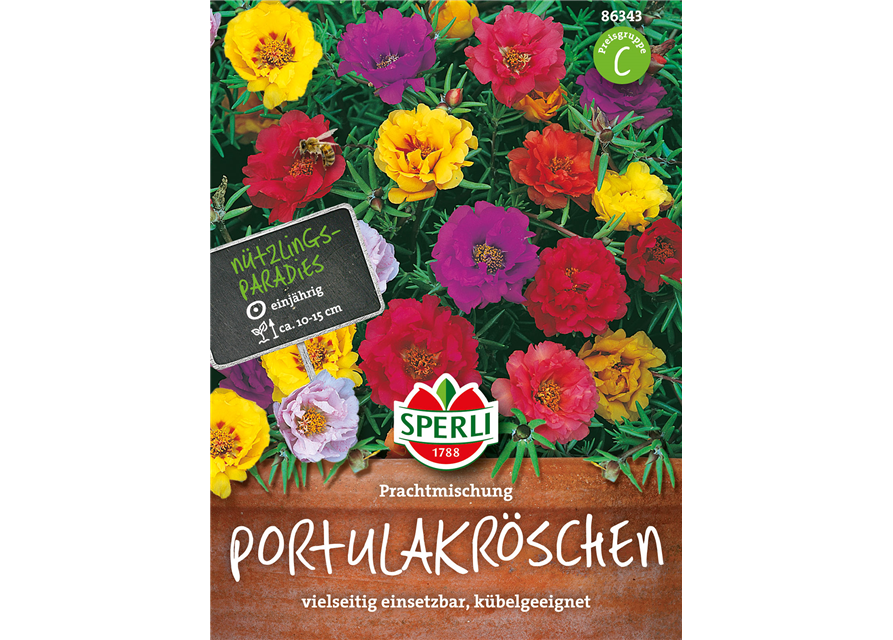 Portulakröschen Prachtmischung 