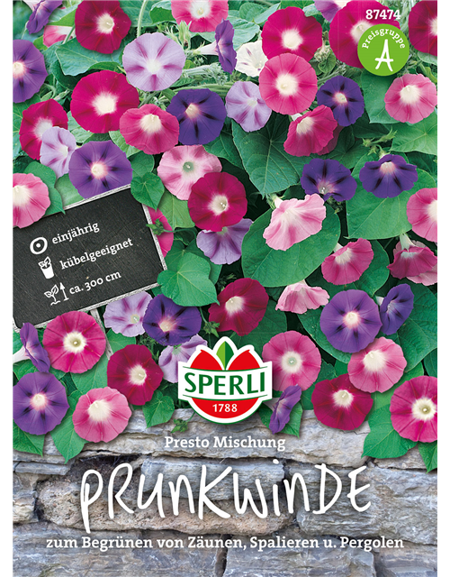 Prunkwinden Presto Mix