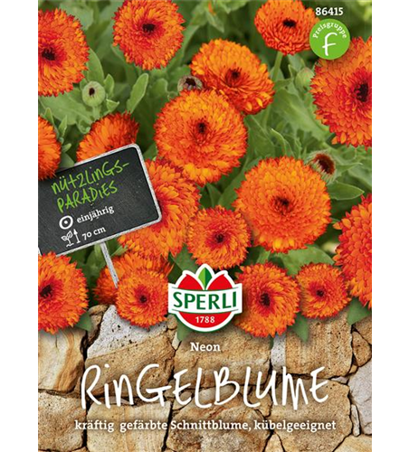 Ringelblume Neon