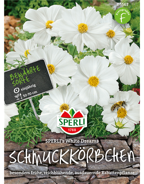 Schmuckkörbchen White Dreams