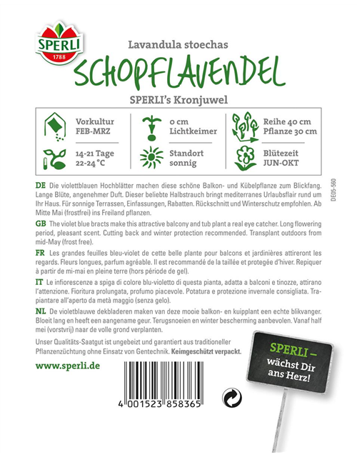 Schopflavendel Kronjuwel 