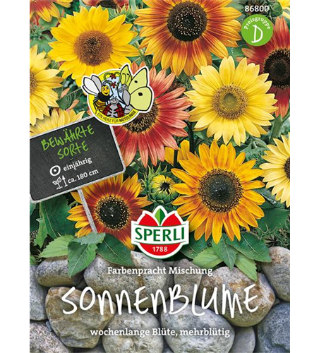 Sonnenblume Farbenpracht Mischung