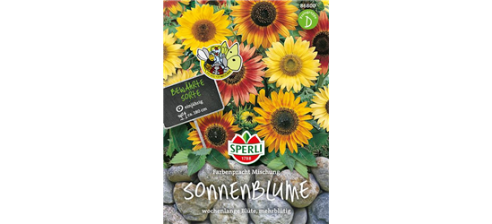 Sonnenblume Farbenpracht Mischung