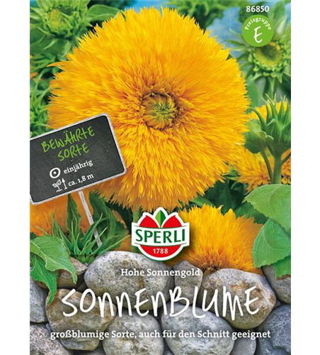 Sonnenblume Hohe Sonnengold